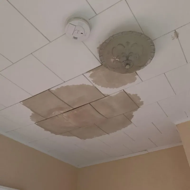 Ceiling Water Damage Repair in Iowa City, IA