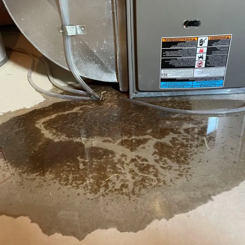 Pipe Burst and Leak Restoration in Iowa City, IA