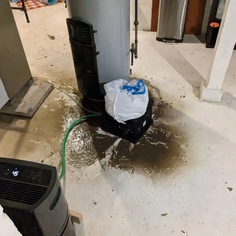 Sewage Backup Cleanup Service in Iowa City, IA